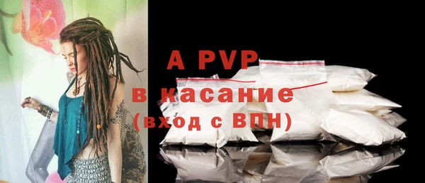 стаф Алексин