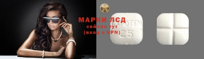 стаф Алексин
