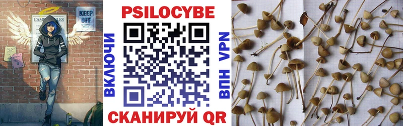 мега как войти  Тула  Псилоцибиновые грибы мицелий 
