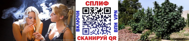OMG   Тула  МАРИХУАНА MAZAR 